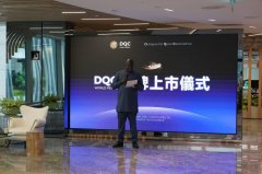 布基纳法索全球金融资产 