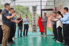 江西永丰：一粒花生撬动