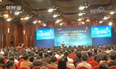 【中国经济年会】金融风