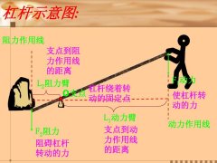 “至信”难言可信：一条