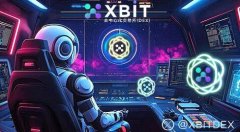 币圈杠杆新势力：XBIT去中