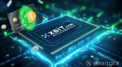数字RMB永续合约XBIT平台引 