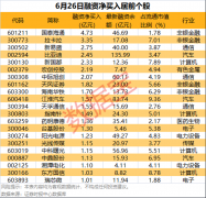 杠杆资金爆买这类股！