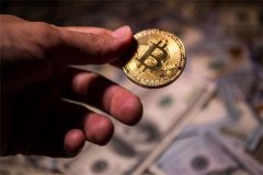 加密货币市场集体狂欢 