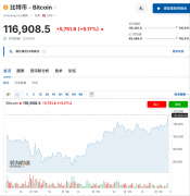 比特币再触及历史新高 空