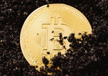 “木头姐”下调比特币最乐观预测称稳定币正取代比特币部分角色